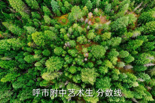 內蒙古師范2014藝術類錄取分數線,華中師范內蒙古歷年錄取分數線...